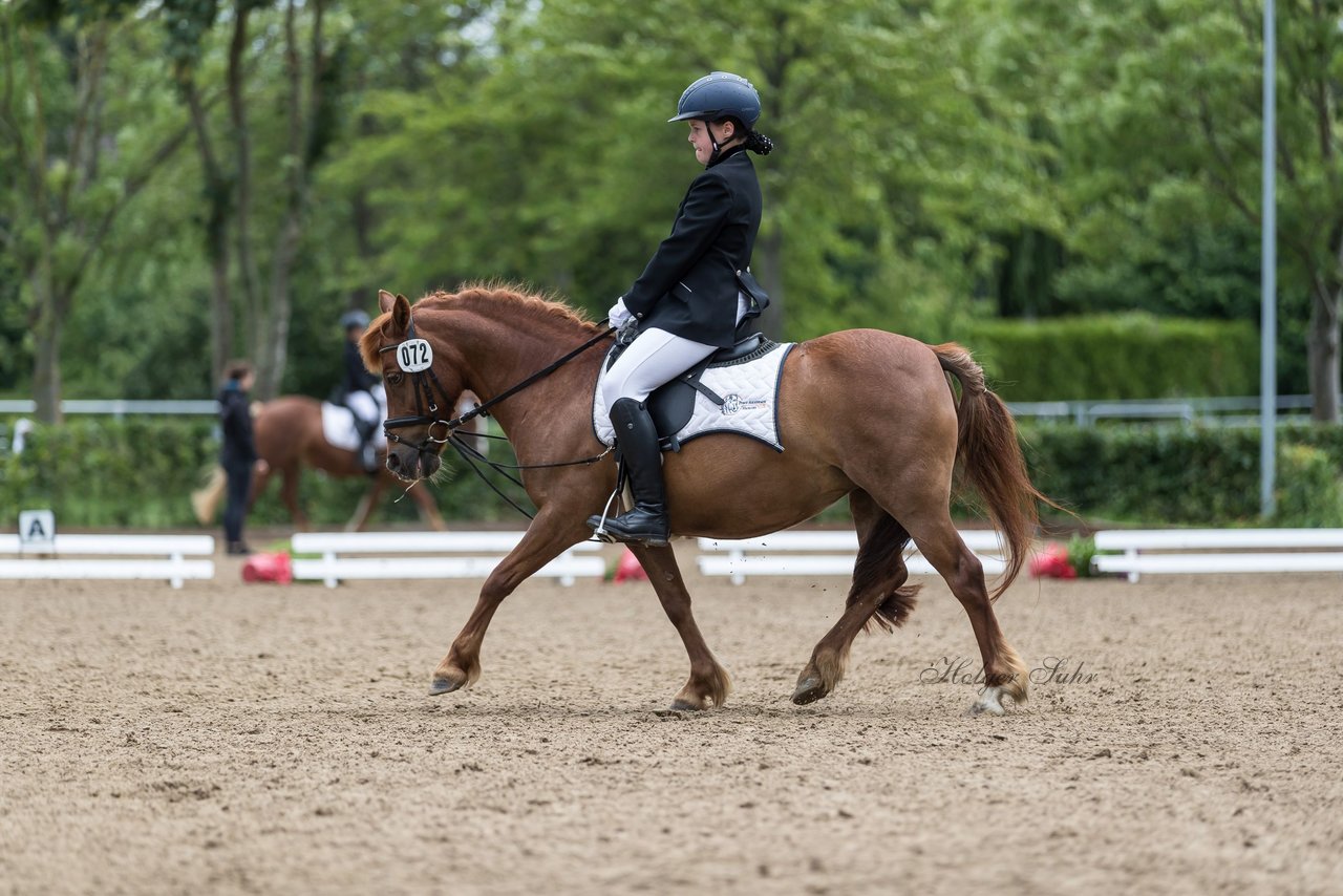 Bild 161 - Pony Akademie Turnier